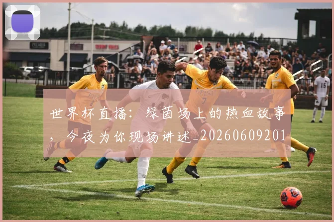 世界杯直播:绿茵场上的热血故事,今夜为你现场讲述_20260609201326
