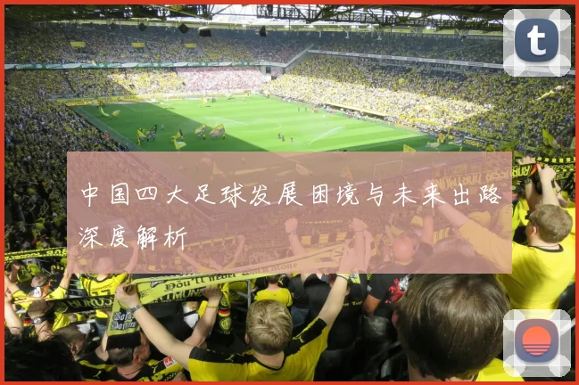 中国四大足球发展困境与未来出路深度解析