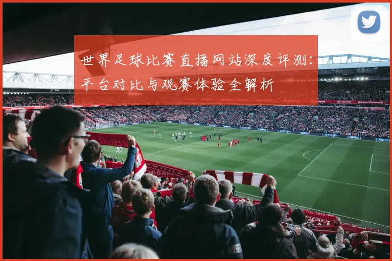 世界足球比赛直播网站深度评测:平台对比与观赛体验全解析