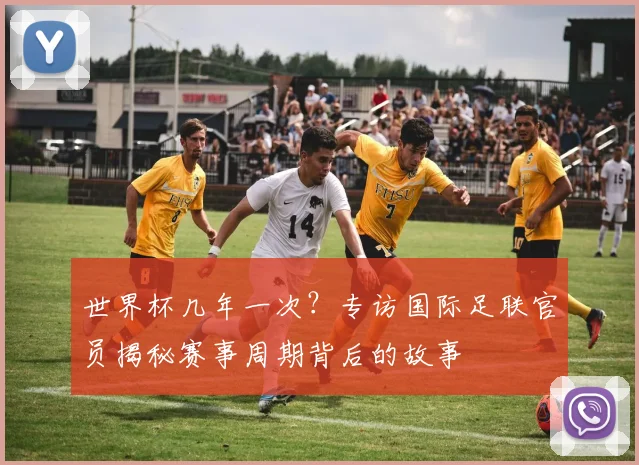 世界杯几年一次？专访国际足联官员揭秘赛事周期背后的故事
